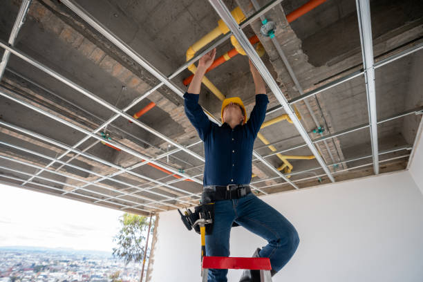 Best Shower Repair Services  in Palos Heights, IL